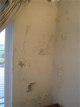 Damp problems due to wet cavity wall insulation