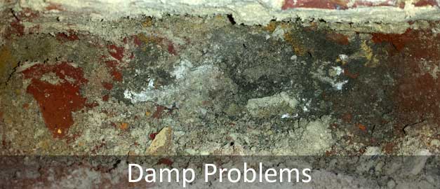 Damp Problems