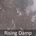 Rising Damp Problems in Sussex and Hampshire