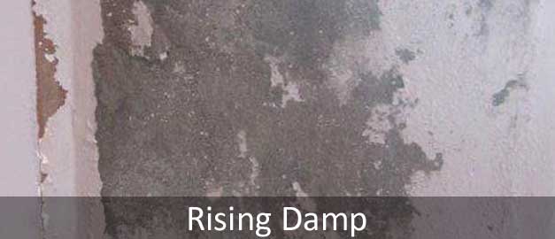 Rising Damp Problem