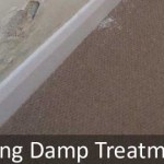 Rising Damp Treatment in Sussex and Hampshire