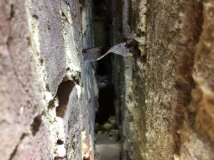 Cavity Wall Tie Replacement